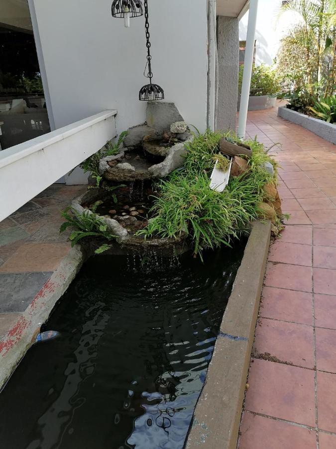 Mangolds Guest House Port Elizabeth Extérieur photo
